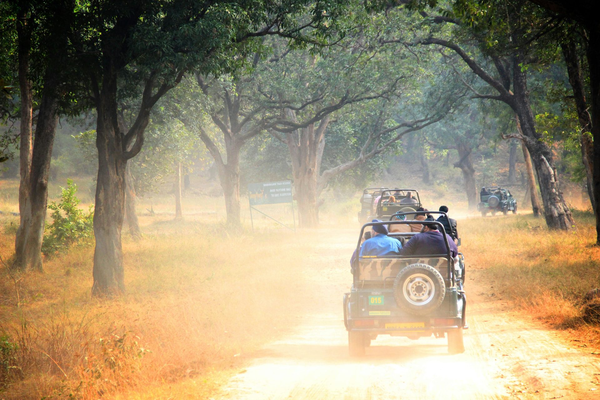 Bandhavgarh National Park tiger safari gypsy convoy entering the Tala gate zone track